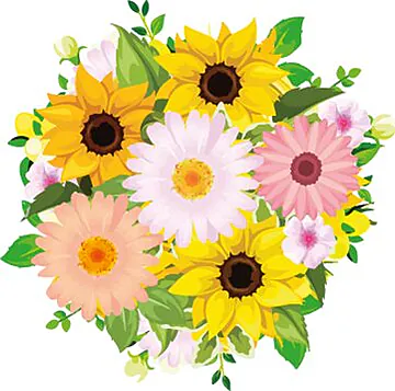 Sunflowers and Gerberas bouquet with seasonal decorative greenery. Gives Cheer, Happiness and Affection. Suitable for occasions of Birthdays, Friendship, Love, Congratulations, Births, Anniversaries and Inaugurations.
